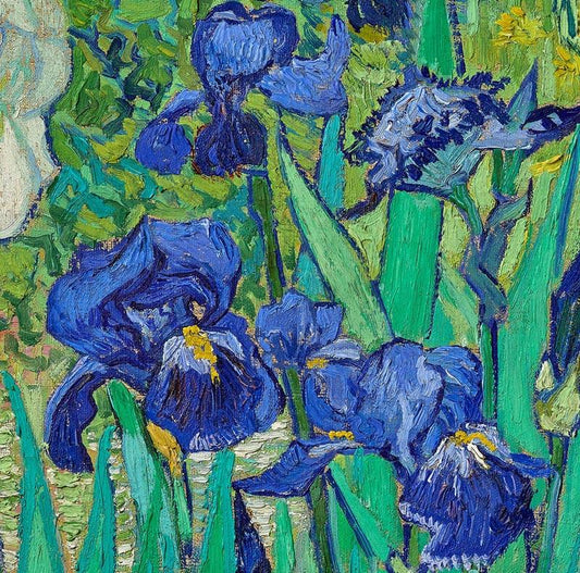 Irises by Van Gogh Art Poster