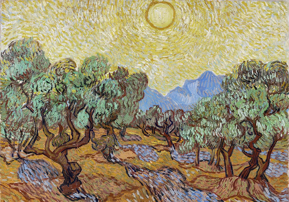 Olive Trees Art Print by Van Gogh