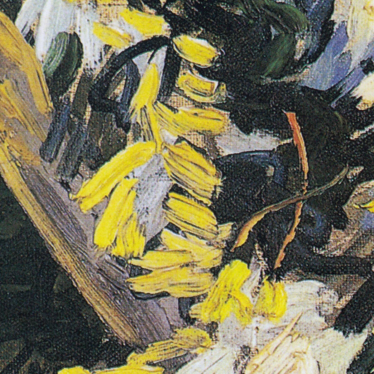 Blossoming Acacia Branches Art Print by Van Gogh