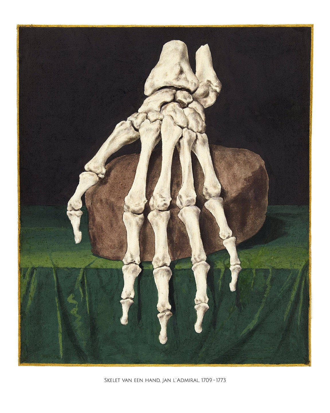Skeleton of a Hand Anatomical Poster