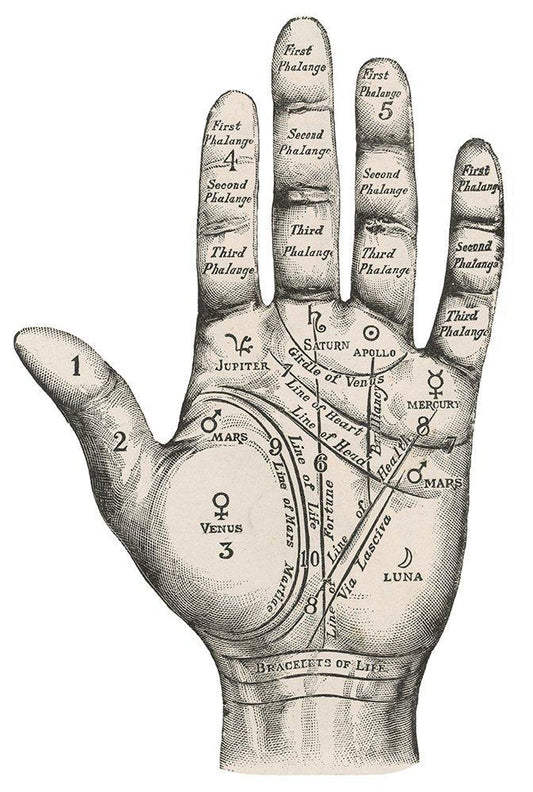 Palmistry Mystic Hand