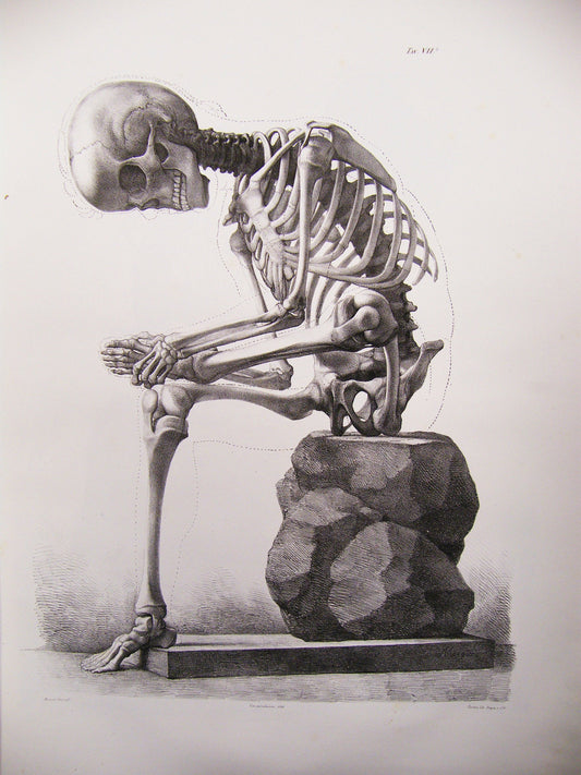 Skeleton Scratching Foot Art Poster