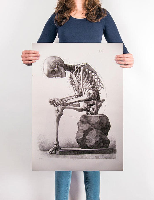 Skeleton Scratching Foot Art Poster