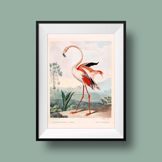 Pink Flamingo Vintage Poster