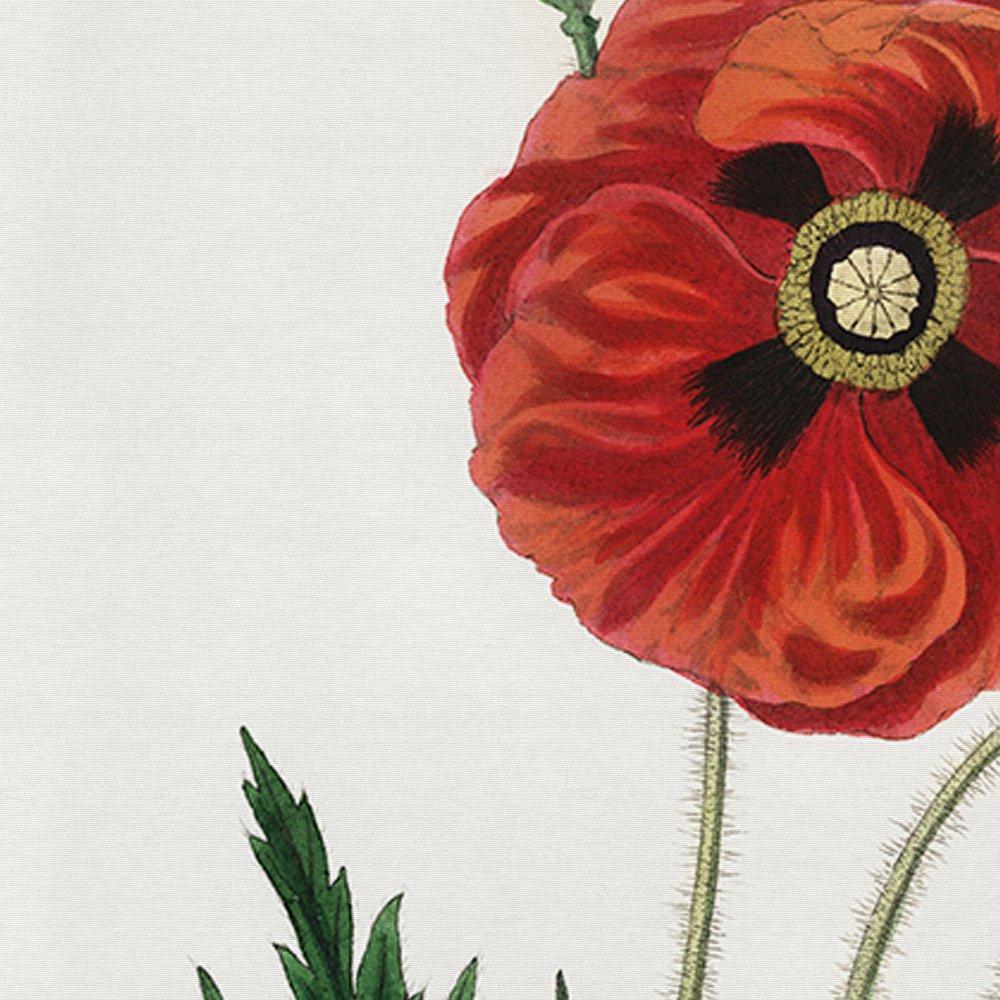 Poppy Flower Poster