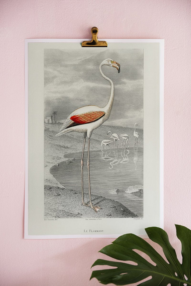 Le Flammant by Edouard Travies Poster